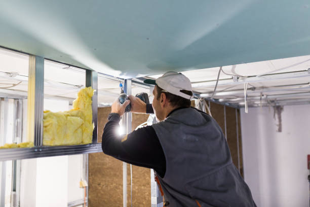 Reliable Caon City, CO Insulation Contractor Solutions