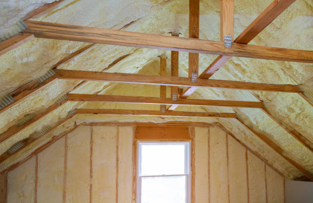 Best Cellulose Insulation in Caon City, CO